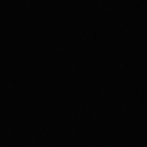 Meet your Posher, Kendall