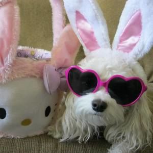 Meet your Posher, Kathy