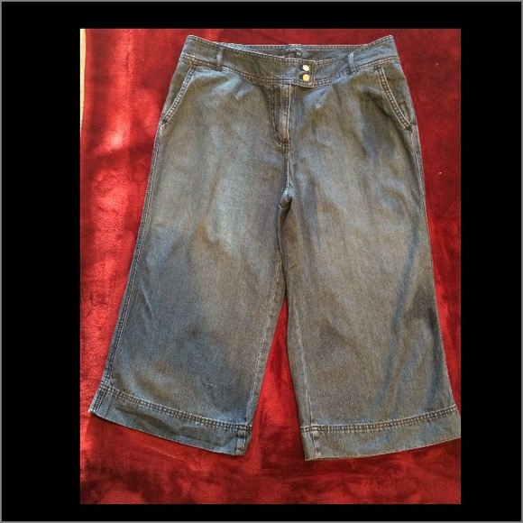 NWOT - NY & Co Wide Leg Capri