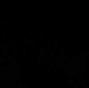 Meet your Posher, Alannah