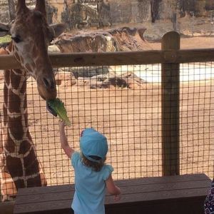 Meet your Posher, Kari