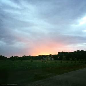 Meet your Posher, Casper