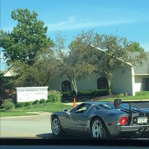 Meet your Posher, Molly