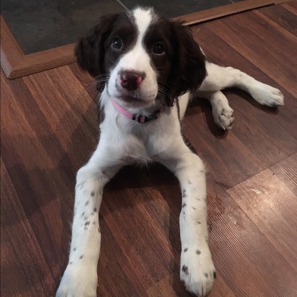 Meet your Posher, Lauren