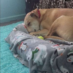 Meet your Posher, Najee