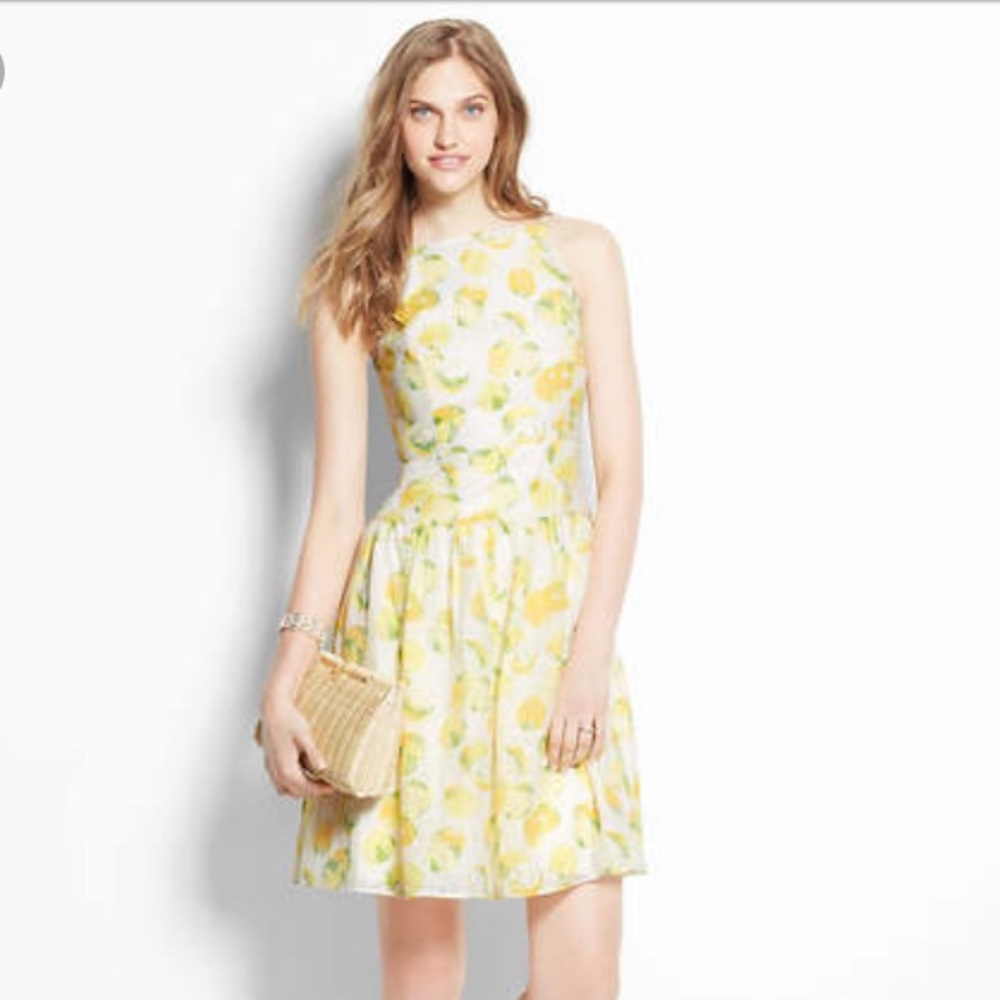 Ann Taylor Drop Waist Lemon Sundress NWT
