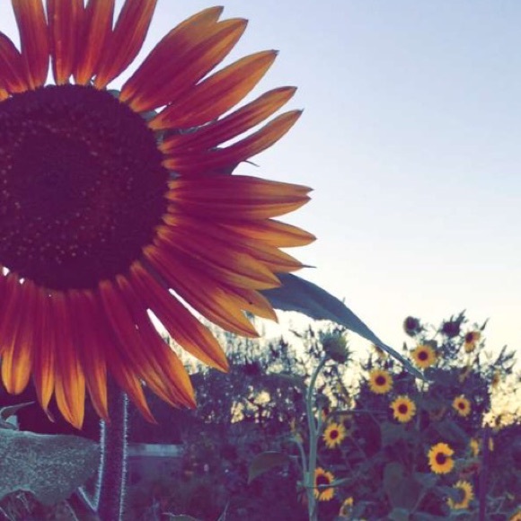 Meet your Posher, Stephanie - Picture 2 of 4