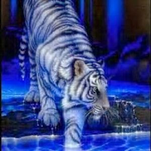 Meet your Posher, Paula