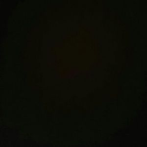 Meet your Posher, Frank