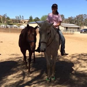 Meet your Posher, Rea