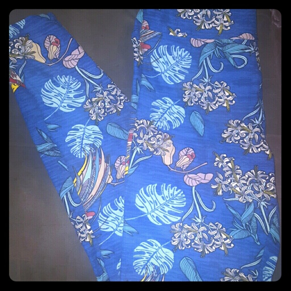 Lularoe OS birds