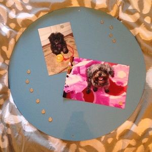 Blue Magnetic Circle