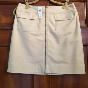 Ann Taylor Zip Skirt