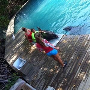 Meet your Posher, Rosa