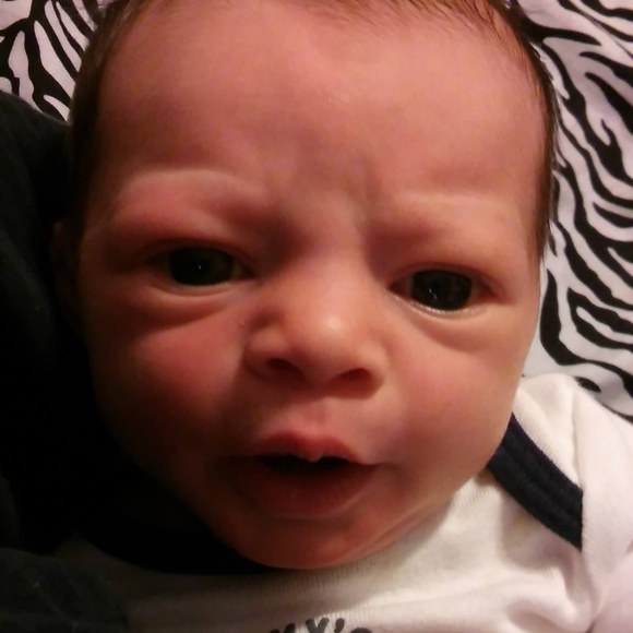 Meet your Posher, Colleen