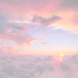 Meet your Posher, Lance