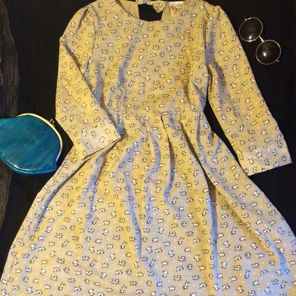 KITTENS! 🐱🐱🐱