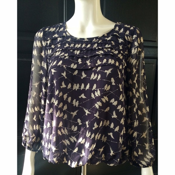 Sheer Blouse