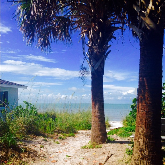 Meet your Posher, Emily - Picture 1 of 1