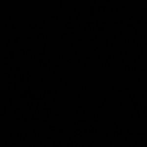 Meet your Posher, Korecia