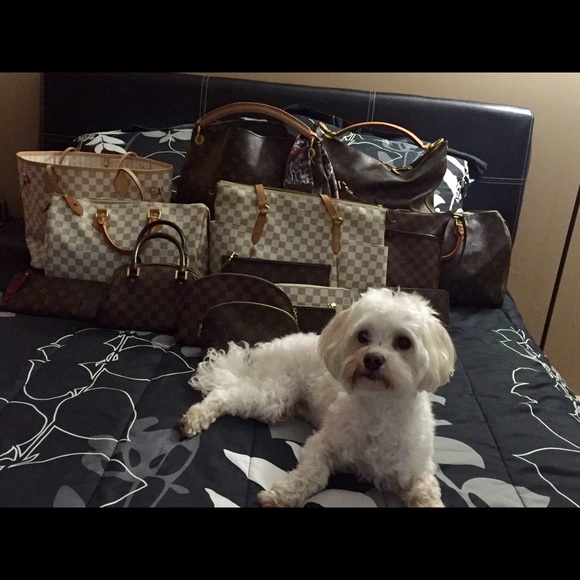 Louis Vuitton Handbags - My LVoes 😊