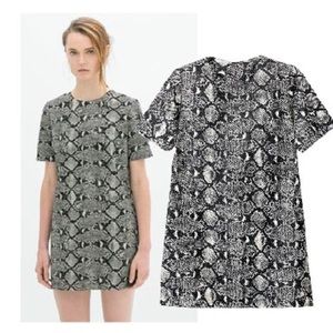 Zara shift snakeskin dress