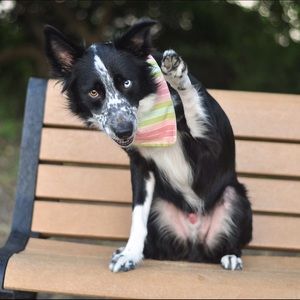 Meet your Posher, Landrie