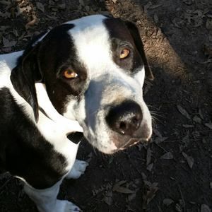 Meet your Posher, Esther