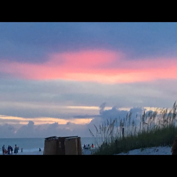 Meet your Posher, Sherry - Picture 1 of 1