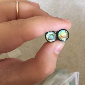 Abalone and bone plugs