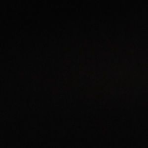 Meet your Posher, Bailey