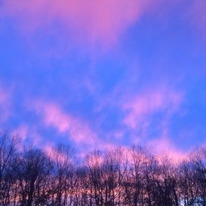 Meet your Posher, Avery