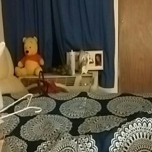 Meet your Posher, Dawn