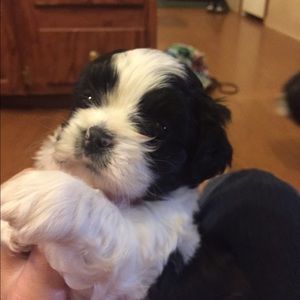 Meet your Posher, Connie