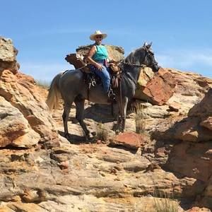 Meet your Posher, Sandy