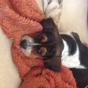 Meet your Posher, Kendall