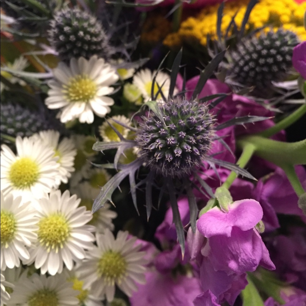 Meet your Posher, Kendall