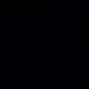 Meet your Posher, Evelyn