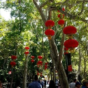 Meet your Posher, Karla