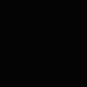 Meet your Posher, Maddy