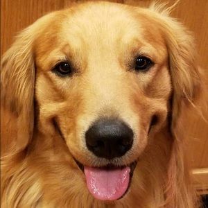 Meet your Posher, Torie