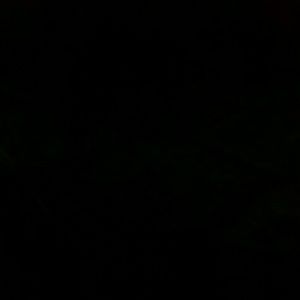 Meet your Posher, Eloise