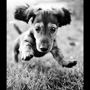 Meet your Posher, Jean