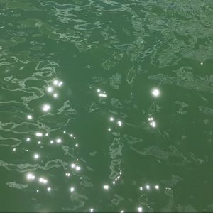 Meet your Posher, Tessa