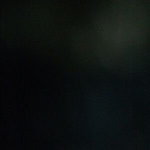 Meet your Posher, Chandler