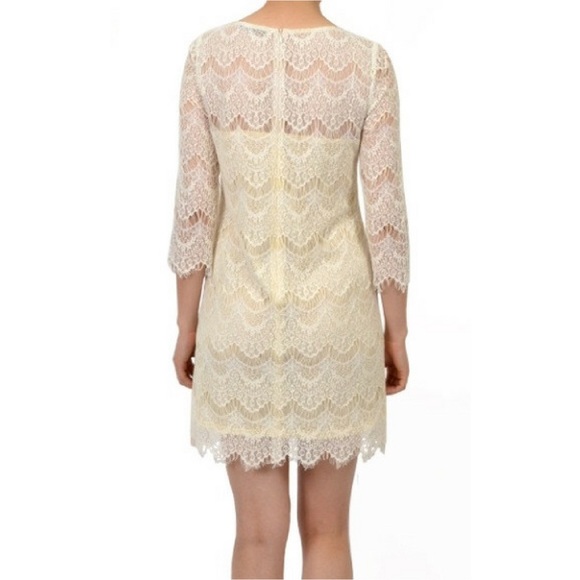 🎉🎉HP🎉🎉‼️SALE‼️Lace Overlay Dress - Picture 3 of 4