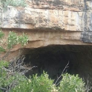 Meet your Posher, Christy