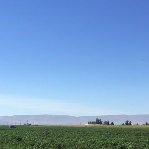 Meet your Posher, Suada