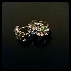 Sophisticated Multicolored Earrings