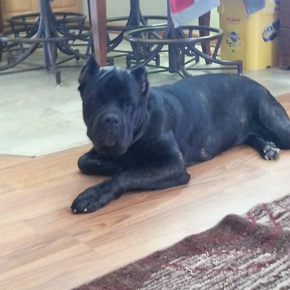 Meet your Posher, Teresa - Picture 1 of 1